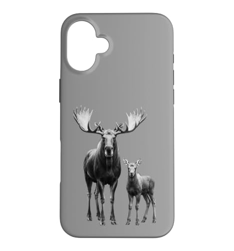 �w���W�J�Ǝq���̖쐶�������D�� �X�}�z�P�[�X iPhone 16 Plus �p