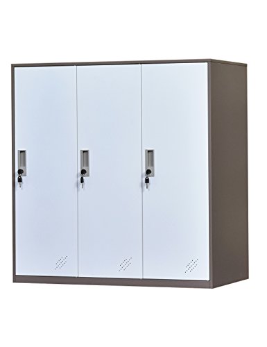Armario de Almacenamiento de Oficina de Metal de 3 Puertas, Armario de Almacenamiento de Bolsa de teléfono de Oficina de Acero con Cerradura y estantes, gabinete de Zapatos de Sala de Estar (3D)