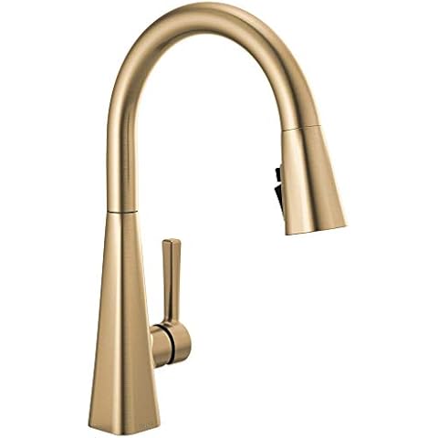 Delta Faucet Lenta Gold Kitchen Faucet Cover