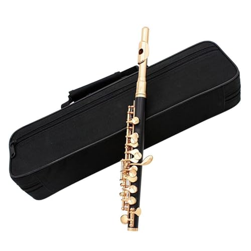 ピッコロ フルート ケース」の人気商品一覧 | 安い商品を通販サイト