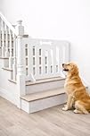 White Dog Bone Pet Gate – No-Drill See-Through Safety Barrier for Doorways & Stairs, Lightweight Portable Pet Gate with Easy Access for Dogs & Puppies (Height x Width) (40CM (H) X 60CM (W))