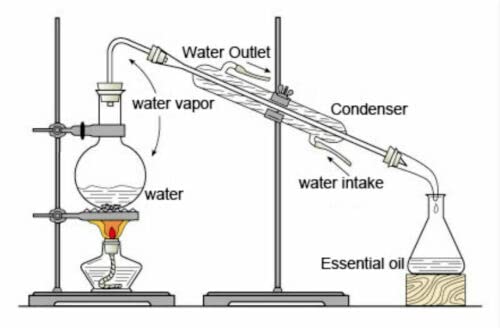 corredi della vetreria del purificatore di acqua dell'apparecchiatura di distillazione dell'olio essenziale del laboratorio 100ml