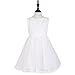 SZYL Baby Girls Lace Baptism Flower Dress Wedding Pegeant Tutu (3-6 Months, white)