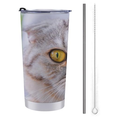 L   XeX}OJbv X^CbV 600ml ۗ ۉ Wt ^u[  d\ 킢 ڂȂRbv sԗp