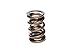 COMP Cams (944-1) 1.570" O.D. Dual Valve Spring