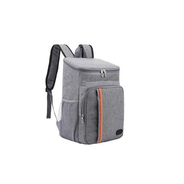 Water-Resistant Cool/Hot Bag | Leakproof Lunch Compartment Portable Cool Bag | Convenient Spacious Food Drink Cool Bag (3220 - Cooler Bag 20L)
