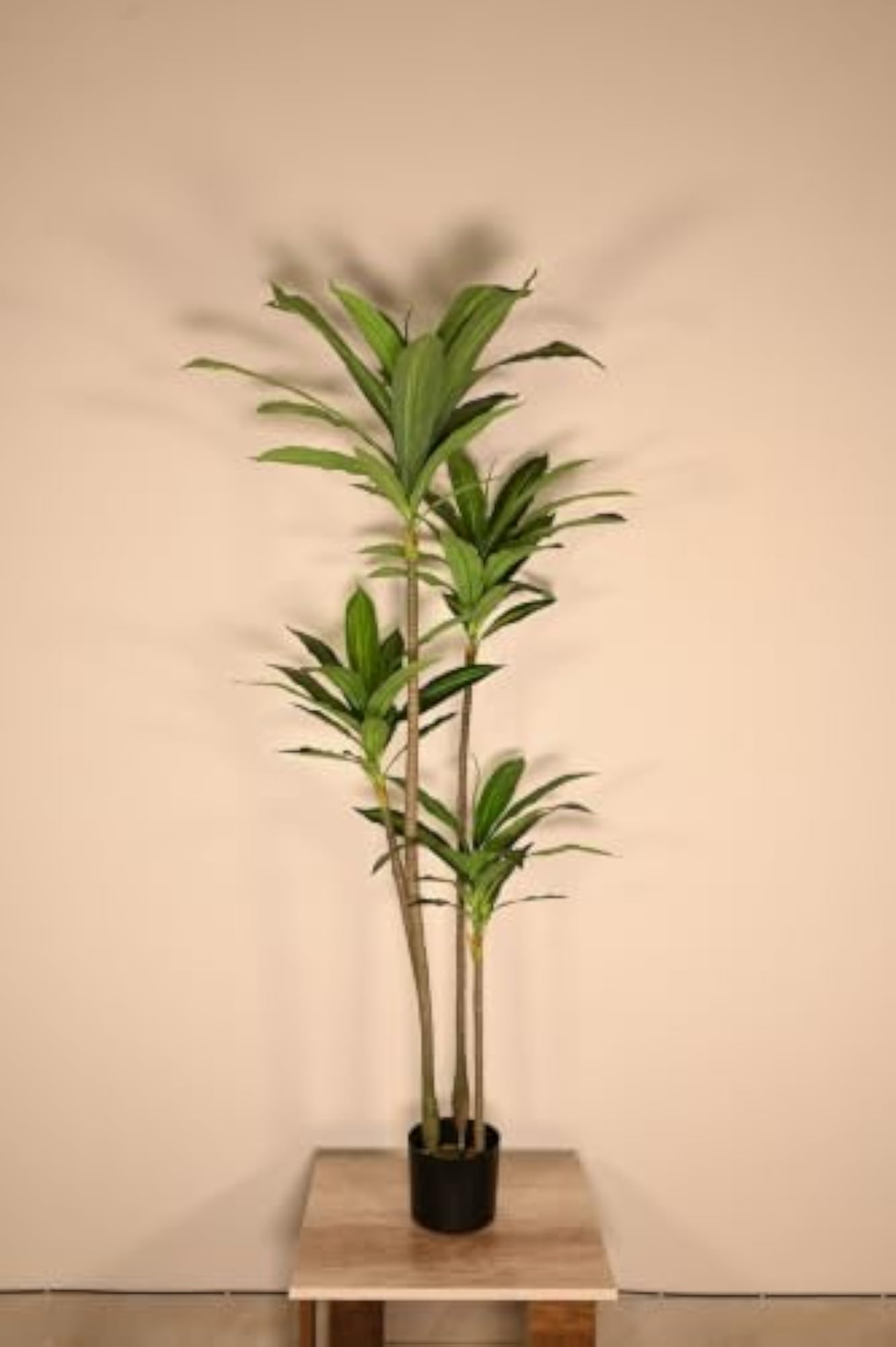 Premium Artificial Dracaena Plant with Basic Pot