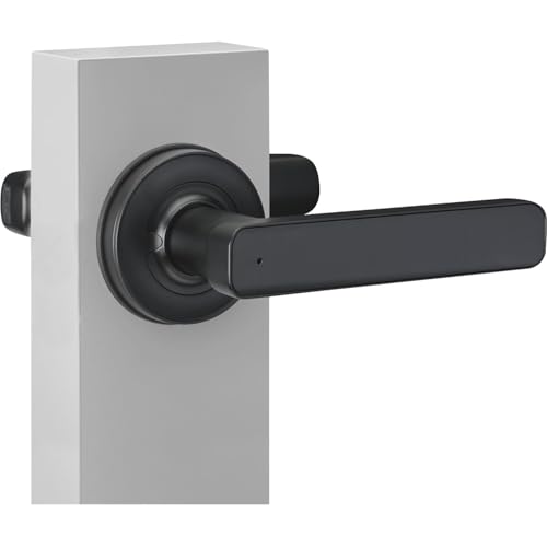 Poignée de porte code numérique et empreinte digitale Office R