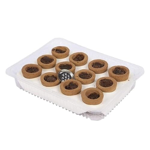 ALITE MART Fragrance Dhoop Natural Guggal loban Cups Set of 12 Cups with Burner Plate dhoop Cups for Home Pooja-image-35