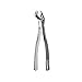 Extracting Forcep American Pattern Upper Molar #88R Nevius