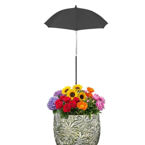 Sombrilla protectora plantas exterior para evitar hojas secas