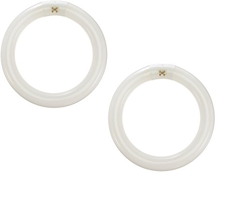 22-Watt Circline Fluorescent T9 Bulb, 4100-Kelvin, G10q Base, 8-Inch Diameter (2 Pack)