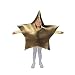 Child Star Costume