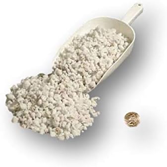 Medium Sponge Rock Junior Bag - (4 quarts) in a resealable Bag