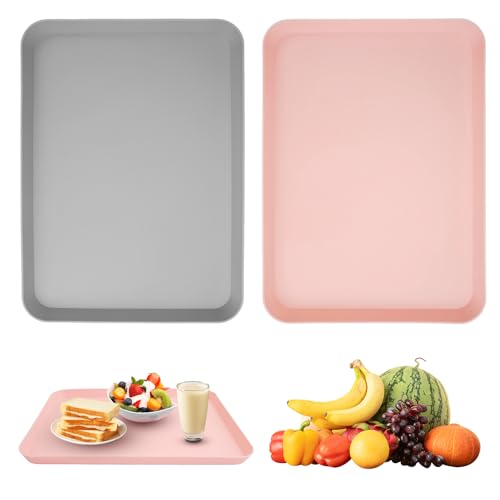 2 bandejas rectangulares pequeñas, de plástico, rectangulares, para servir, de plástico, para restaurante, cafetería, cocina