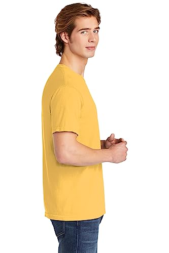 Image of Comfort Colors Adult Short Sleeve Tee, Style G1717