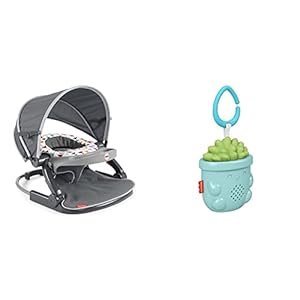 Fisher-Price On-The-Go Sit-me-up Floor Seat – Arrows Away + Succulent Soother Bundle