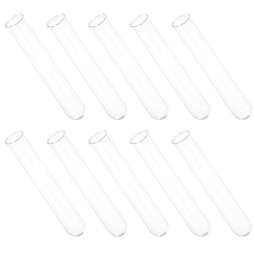 Vaguelly 10 KX ėp\ȉt̎e w A[gp{g a H