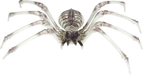 Squelette d'araignée Halloween pour décorer une fête terrifiante
