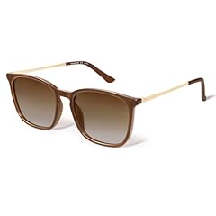 C5-polarized Gradient Brown Lens/Brown Frame
