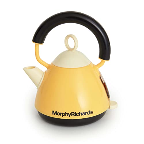 Casdon Morphy Richards Bouilloire Intera