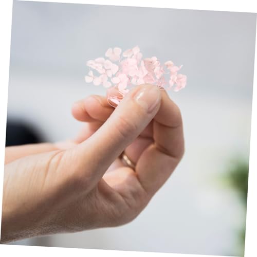 PRETYZOOM 1 Pack Pétalos de Flor Seda Secos DIY miniatura 5