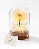 MOXTOYU Echte Pusteblume mit LED Nachtlicht unter Glasglocke Wunscherfüller Pusteblume im Glas als ewige Deko, Außergewöhnliches Geschenk für Frauen zu Valentinstag, Geburtstag & Jahrestag