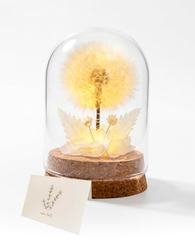 MOXTOYU Echte Pusteblume mit LED Nachtlicht unter Glasglocke Wunscherfüller Pusteblume im Glas als ewige Deko Außergewöhnliches Geschenk für Frauen zu Valentinstag Geburtstag & Jahrestag