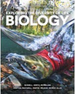 Looseleaf: Biology: Exploring the Diversity of Life 4e