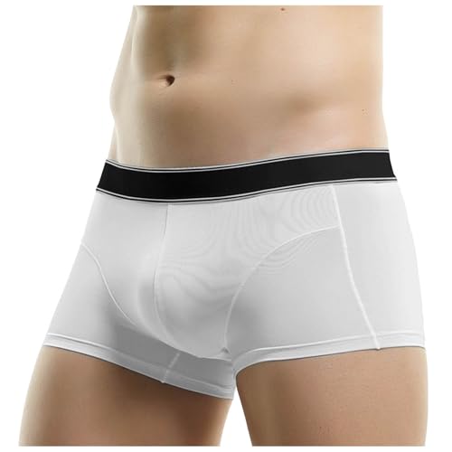 {NT[pc Y X|[c   3D̐^ ʋCL z {NT[u[t _炩 Xgb` K A_[EFA JWA 傫TCY Ci[ pc n Vv t@bV I[V[Y 풅 ʋ ʊw(z