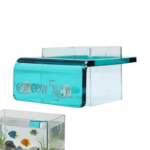 Anillo de alimentación para peces con flotación activa para Betta 8