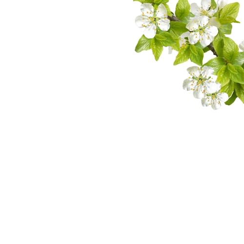 Painting Today Echo Fatigue Digital Music