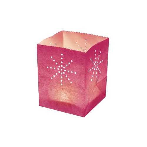 Skylantern Original 1729 - Lanterna luminosa a forma di sacchetto, modello Maya, misura media, colore: Fucsia