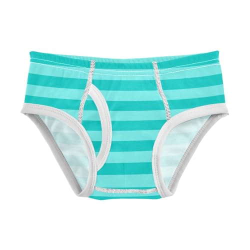 Teal Cyan Stripe Toddler Boy's Underwear 2T