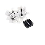 WOONEKY 30 Boom Hangende Twinkelende Lichtjes Slinger Op Batterijen Met Lampjes Buiten Kerstboom Warmwitte Boom Grenen Slinger Met Verlichting Lichtslingers Warm Wit Kerstlichten