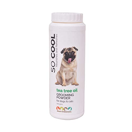 See full amazon price history chart for Aquatic Kart So Cool Tea Tree Oil Grooming Powder 100gms for Dogs & Cats Aquatic Kart So Cool Tea Tree Oil Grooming Powder 100gms for Dogs & Cats (B07T3ZM4C8) Amazon Price History, Amazon Price Tracker