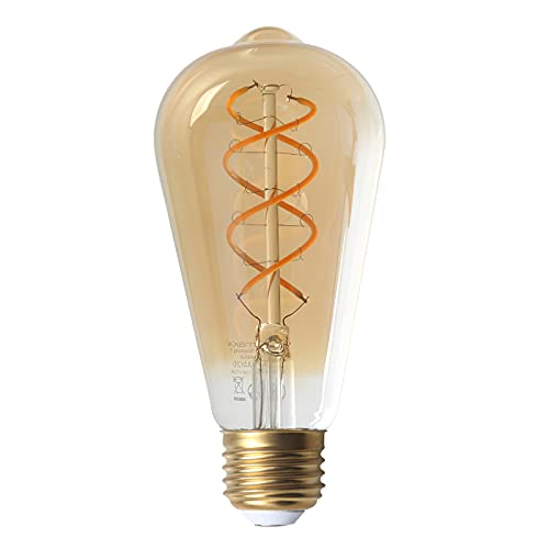 Weskjer Ampoule LED E27 Edison vintage 2 W à filament 1500 lumens Éclairage décoratif rétro pour maison, restaurant Cover