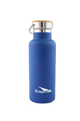 Bluewave LifestyleD2 Insulated Water Bottle 500 ML 17 oz Blue