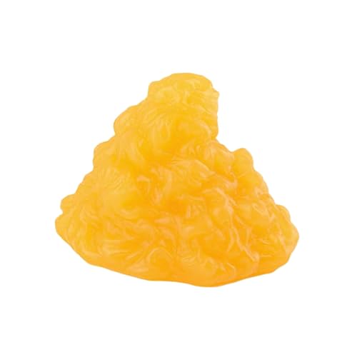 Eigell 人体模型教育玩具 ポータブル構造模型 生理学 人体組織 学生向けリマインダー