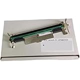 Compatibile con la testina di stampa termica CITIZEN CL-E300 CL-E321 203 DPI