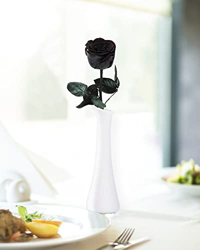 Image of Preserved Rose, Preserved Flowers for Delivery Prime, Single Rose Flower Gifts for Women, Real Rose Presents for Her, Birthday Gifts, Valentines Flowers for Girlfriend - Black