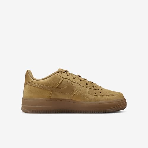 Nike Air Force 1 LV8 Big Kids' Shoes (HQ7476-700, Wheat/Gum Light Brown/Wheat) Size 6.53