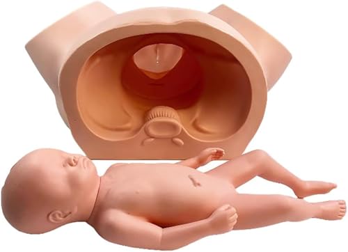 Simulateur d'accouchement obstétrique avec fœtus articulé