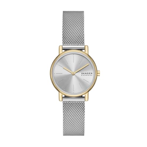 Skagen Signatur silver mesh watch
