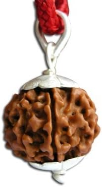 Jewelswonder Wood 4 Mukhi Rudraksha Pendant (Brown)