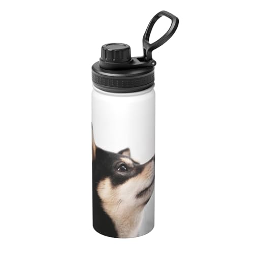 ���� �Č� ���� ���� �A�j�� �}�O�{�g�� 530ml �ۗ� �ۉ� �X�|�[�c�{�g�� �X�e�����X�{�g�� ������� ���킢�� �L�� ������ �R��h�~ �n���h���t�� �􂢂₷�� �������ȒP �g�ѕ֗� �o�R�p �I�t�B�X �X�|�[�c �j�����p