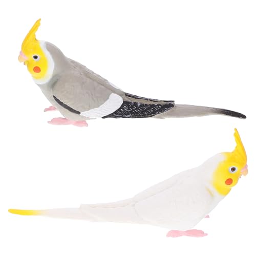 POPETPOP lHIE 2 V~[VIEf yʑϖՃvX`bN ̒u 뉀 oRj[pi