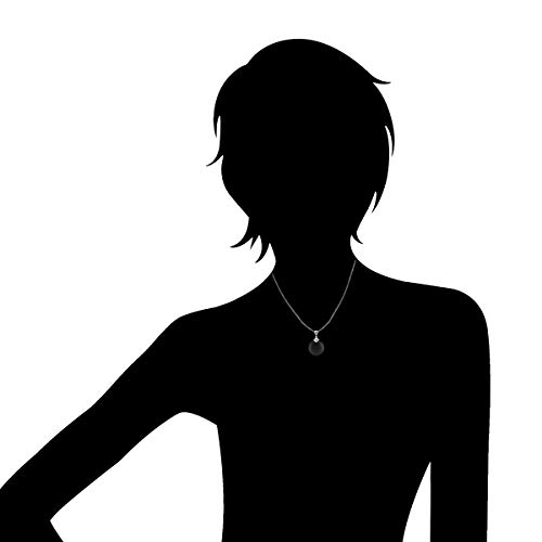 Gem Stone King Black Onyx Pendant Necklace For Women | 925 Sterling Silver | Gemstone Birthstone | 19MM = 3/4 Inch | With 18 Inch Silver Chain3