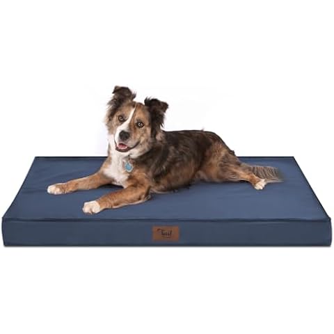 Tail Stories Outdoor All Weather Dog Bed, Waterproof Dog Bed for Large Dogs, Orthopedic Egg Foam Pet Bed Cover