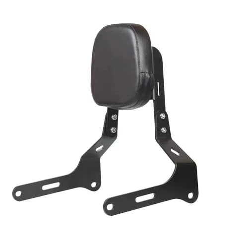 Dossier moto passager pour QJMOTOR SRV300 SRV250 contre fatigue